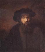 REMBRANDT Harmenszoon van Rijn A Bearded Man in a Cap Spain oil painting artist